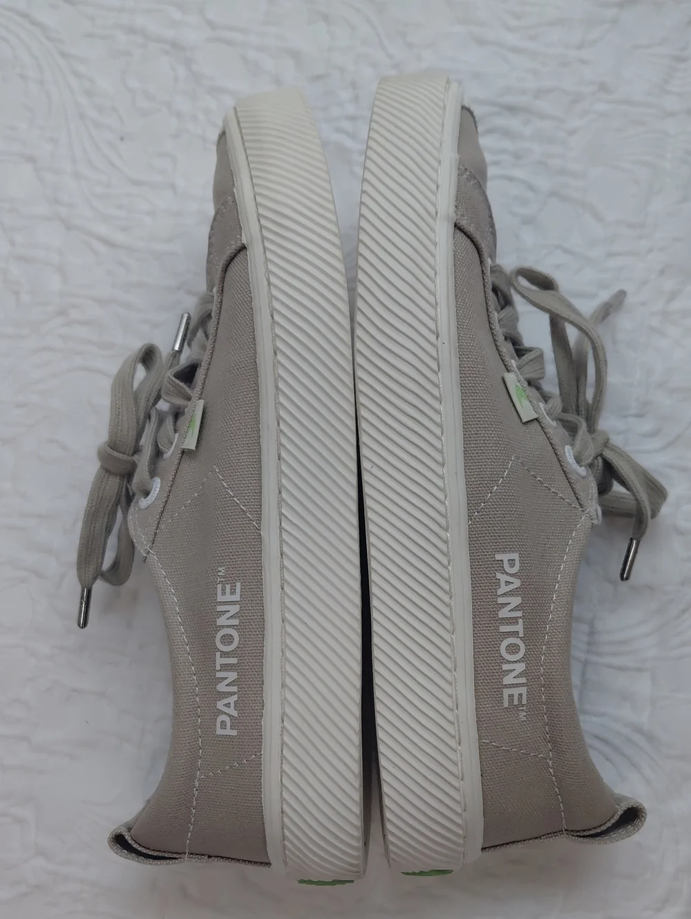 Cariuma pantone canvas